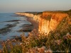 France Etretat Picture