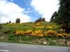 France Gorge Du Tarn Picture