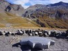 France Col de l'Iseran Picture