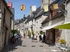 France Loire Picture