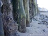 France Saint-Malo Picture