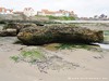 France Audresselles Picture