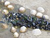 France Audresselles Picture