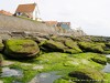 France Audresselles Picture