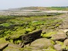 France Audresselles Picture