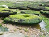 France Audresselles Picture