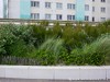 France Berck Picture