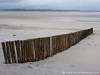 France Crotoy Picture