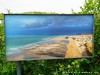France Gris Picture