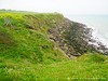 France Gris Picture