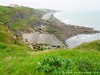 France Gris Picture