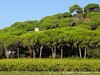 France Saint Tropez Picture