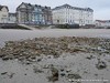 France Wimereux Picture