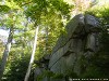 Germany Black Forest (Autumn) Picture