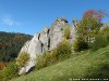 Germany Black Forest (Autumn) Picture