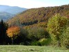 Germany Black Forest (Autumn) Picture