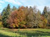Germany Black Forest (Autumn) Picture