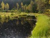 Germany Black Forest (Autumn) Picture