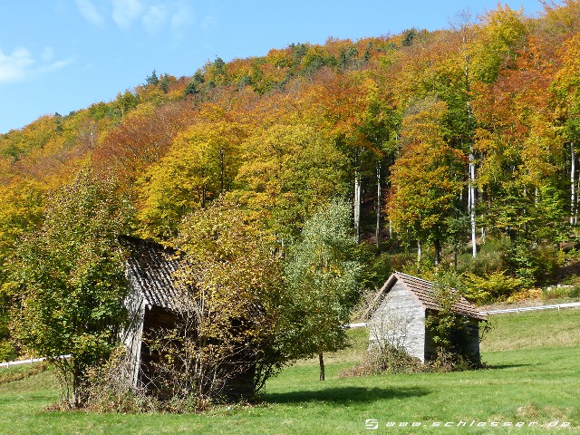 Germany Black Forest (Autumn) Picture