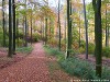 Germany Black Forest (Autumn) Picture