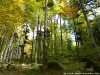 Germany Black Forest (Autumn) Picture