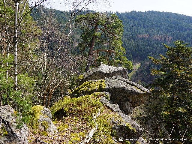 Germany Black Forest (Spring) Picture