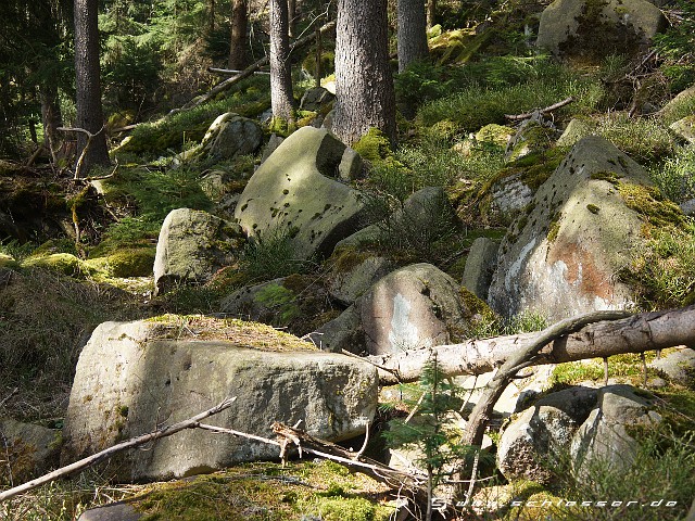 Germany Black Forest (Spring) Picture