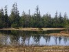 Germany Black Forest (Spring) - Hohlohsee - Picture