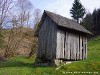 Germany Black Forest (Spring) Picture