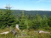 Germany Black Forest (Summer) Picture