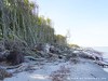 Germany Vorpommersche Boddenlandschaft Picture