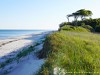 Germany Vorpommersche Boddenlandschaft Picture