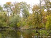 Germany Karlsruhe Rheinauen Autumn Picture