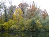 Germany Karlsruhe Rheinauen Autumn Picture