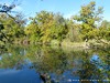 Germany Karlsruhe Rheinauen Autumn Picture