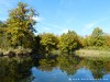 Germany Karlsruhe Rheinauen Autumn Picture