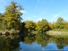 Germany Karlsruhe Rheinauen Autumn Picture