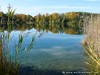 Germany Karlsruhe Rheinauen Autumn Picture