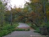 Germany Karlsruhe Rheinauen Autumn Picture