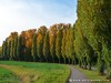 Germany Karlsruhe Rheinauen Autumn Picture