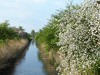 Germany Karlsruhe Rheinauen Spring Picture