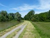 Germany Karlsruhe Rheinauen Spring Picture