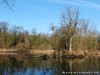 Germany Karlsruhe Rheinauen Winter Picture