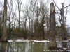 Germany Karlsruhe Rheinauen Winter Picture