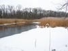 Germany Karlsruhe Rheinauen Winter Picture