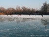 Germany Karlsruhe Rheinauen Winter Picture