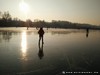 Germany Karlsruhe Rheinauen Winter Picture