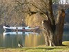 Germany Karlsruhe Rheinauen Winter Picture