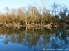 Germany Karlsruhe Rheinauen Winter Picture