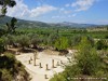 Greece Nemea Picture